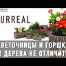 Цветочница горизонтальная дуб S (маленькая)